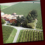 The farm and part of the vineyard